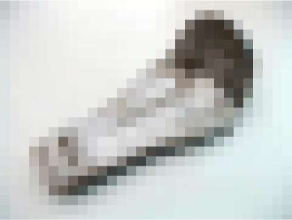c0006028_7482845.gif