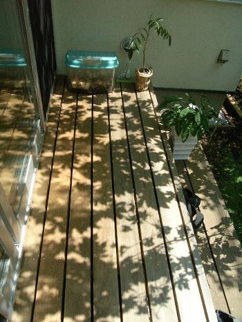 c0178231_13281727.jpg