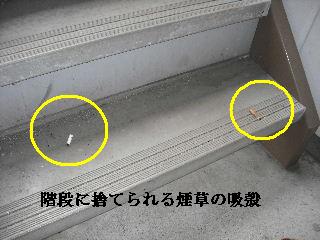 賃貸物件・定期管理_f0031037_2201317.jpg