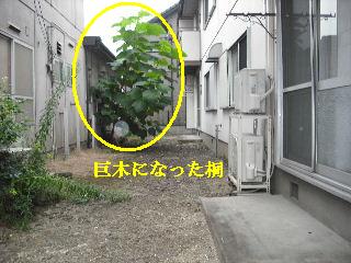賃貸物件・定期管理_f0031037_2205680.jpg