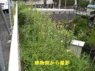 賃貸物件・定期管理_f0031037_22144893.jpg
