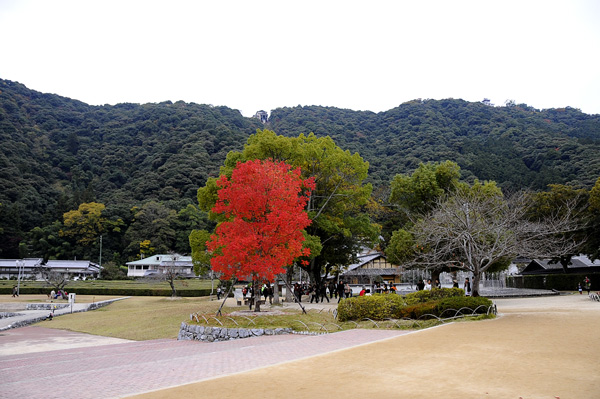 c0121738_0474011.jpg