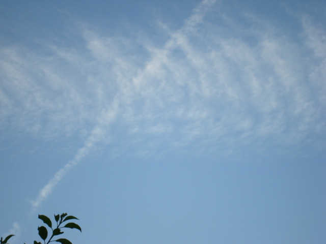 a0116439_2003582.jpg