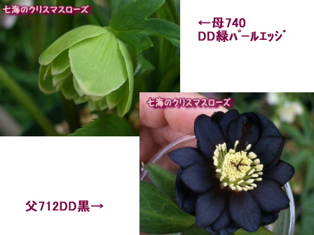 c0025140_15212423.jpg
