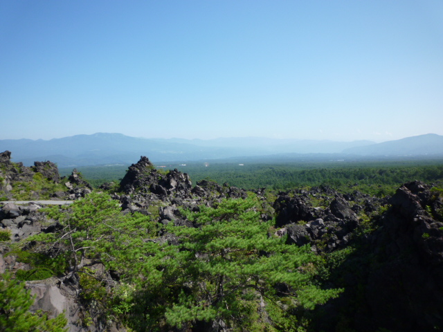 f0070542_7341783.jpg