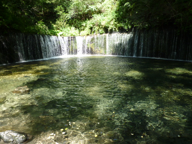 f0070542_738447.jpg