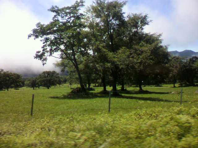 a0111545_1054137.jpg