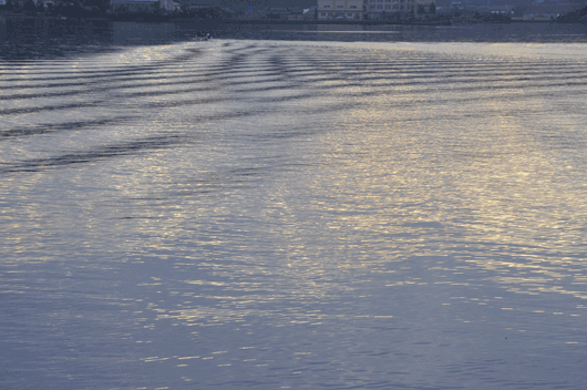 c0093046_71132100.gif