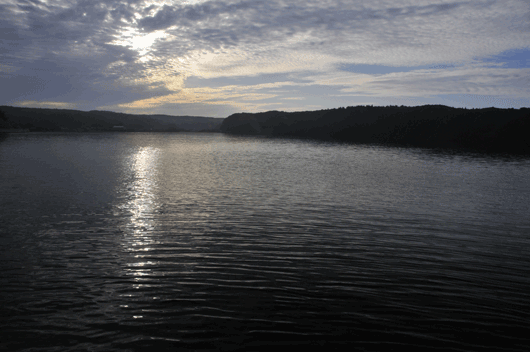 c0093046_7114951.gif
