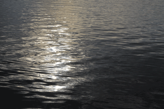 c0093046_712891.gif