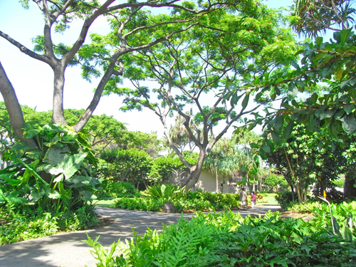 Hawaii2009-33:FourSeasonsResort Hualalai at Historic Ka`upulehu _f0054556_11134985.jpg