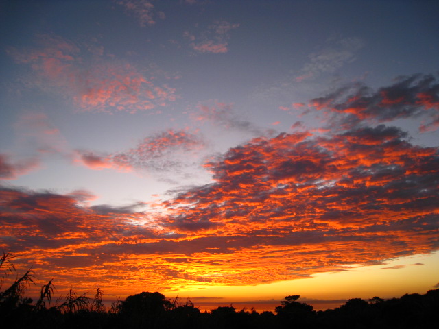 b0160957_8574169.jpg