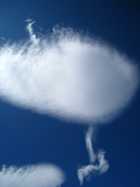 b0160957_932214.jpg
