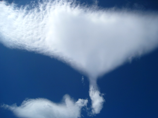 b0160957_94080.jpg