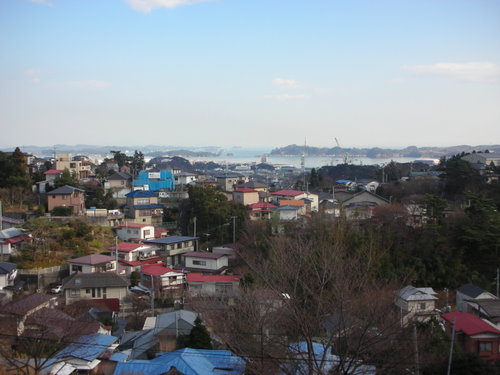 e0176457_60482.jpg