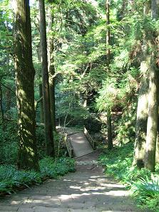 f0139963_2351267.jpg