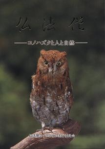 ふくろう探検隊出動　鳳来寺山自然科学博物館　その二_f0139963_750434.jpg