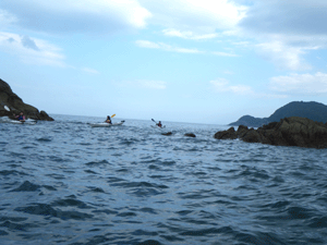 e0043367_14472020.gif