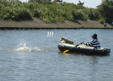 b0091373_0423781.gif