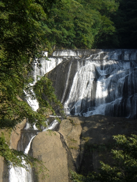 e0165575_95808.jpg