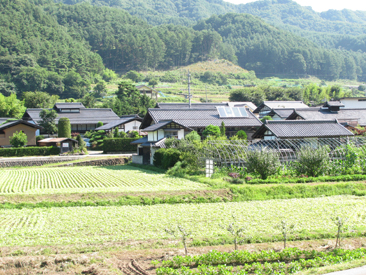 f0186275_859293.jpg