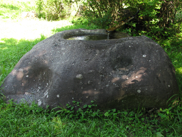 f0186275_919521.jpg