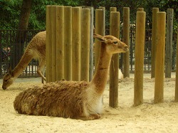 ５区の植物園と動物園_c0162882_5142640.jpg