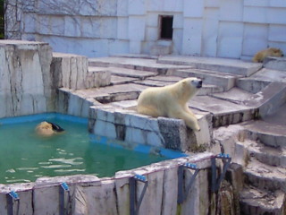e0017290_2328640.jpg