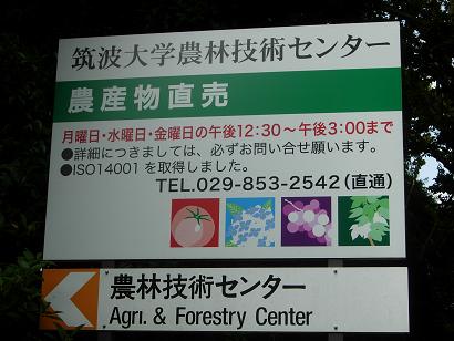 f0084795_0405045.jpg