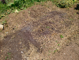 c0151898_18472953.jpg