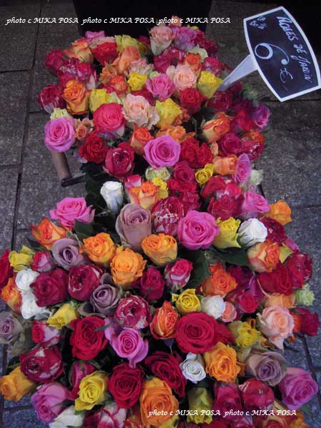 Tony DeSare_b0164803_142858.jpg