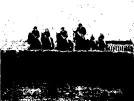 f0028703_23344555.jpg