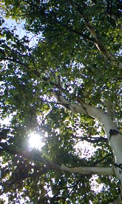 f0032403_225101.jpg