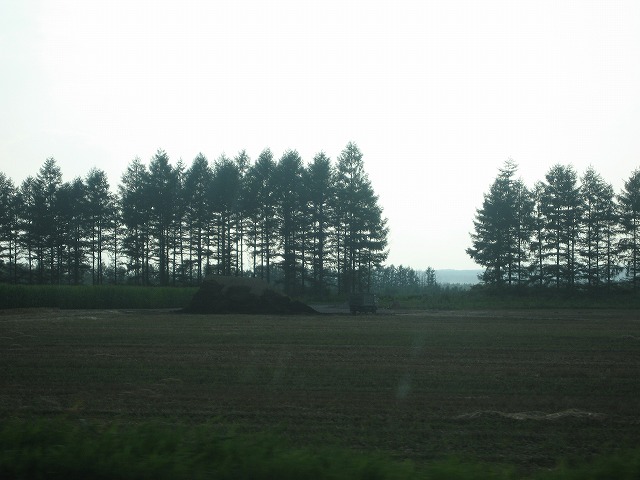 f0202703_04435.jpg