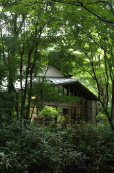 d0107204_112212.jpg