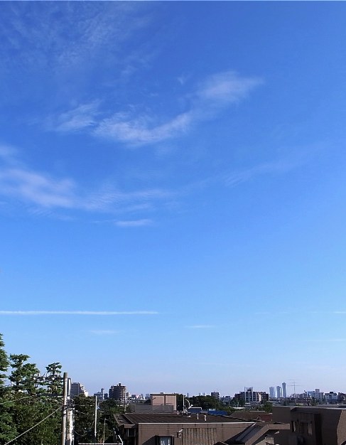 e0138804_10504040.jpg