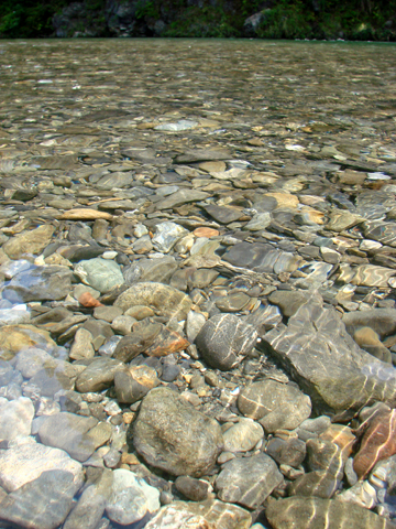 f0080105_09358.jpg