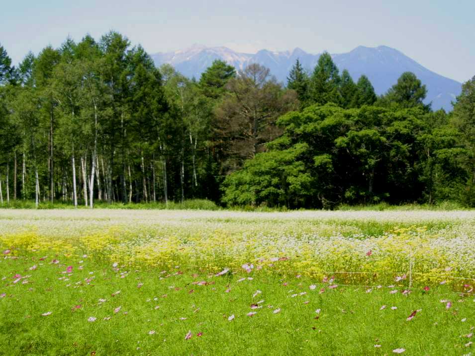d0140806_9503120.jpg