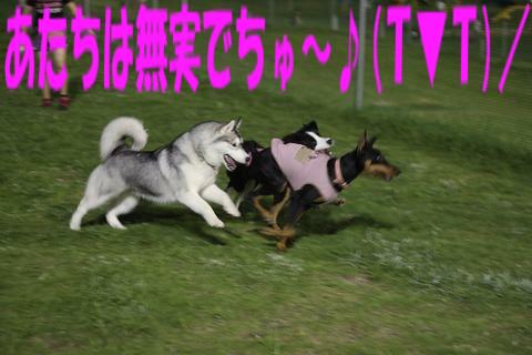 e0100007_21291659.jpg