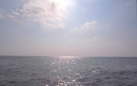 e0177207_2334539.jpg