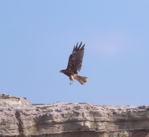 e0177207_236236.jpg