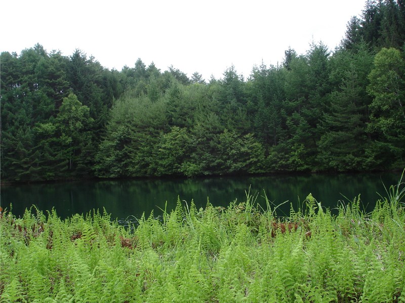 f0024708_21784.jpg