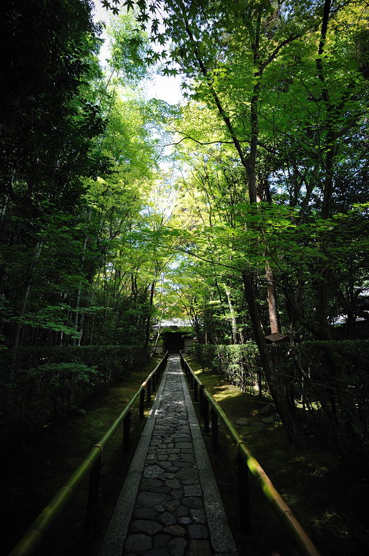 f0032011_1929785.jpg
