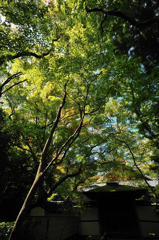 f0032011_1930733.jpg