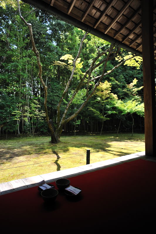 f0032011_19322450.jpg
