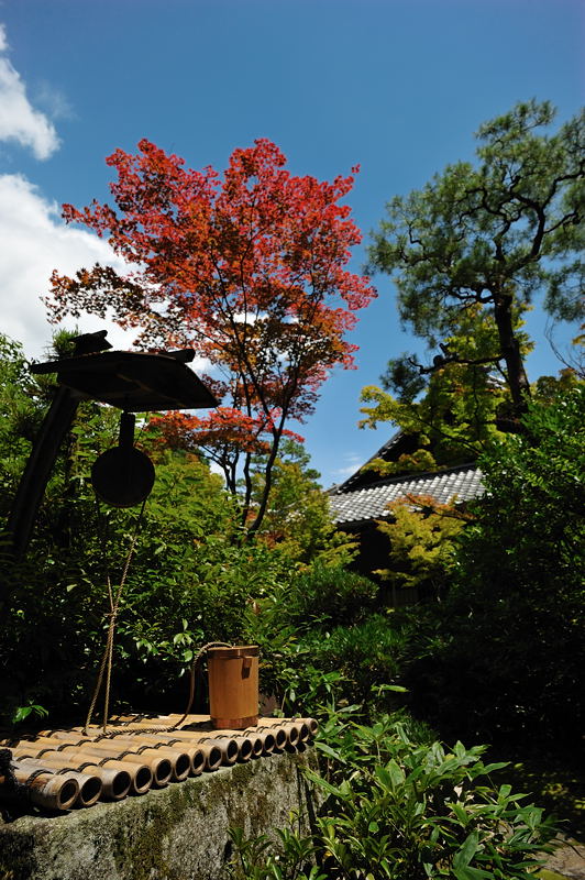 f0032011_1932354.jpg