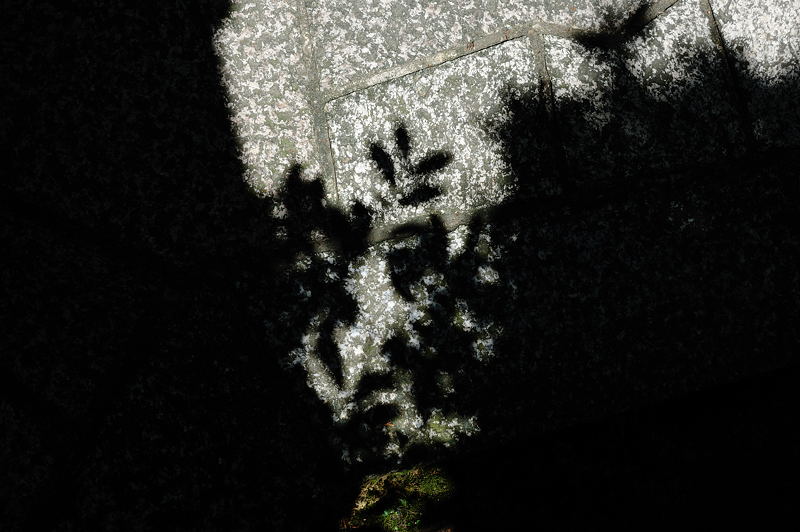 f0032011_19324343.jpg