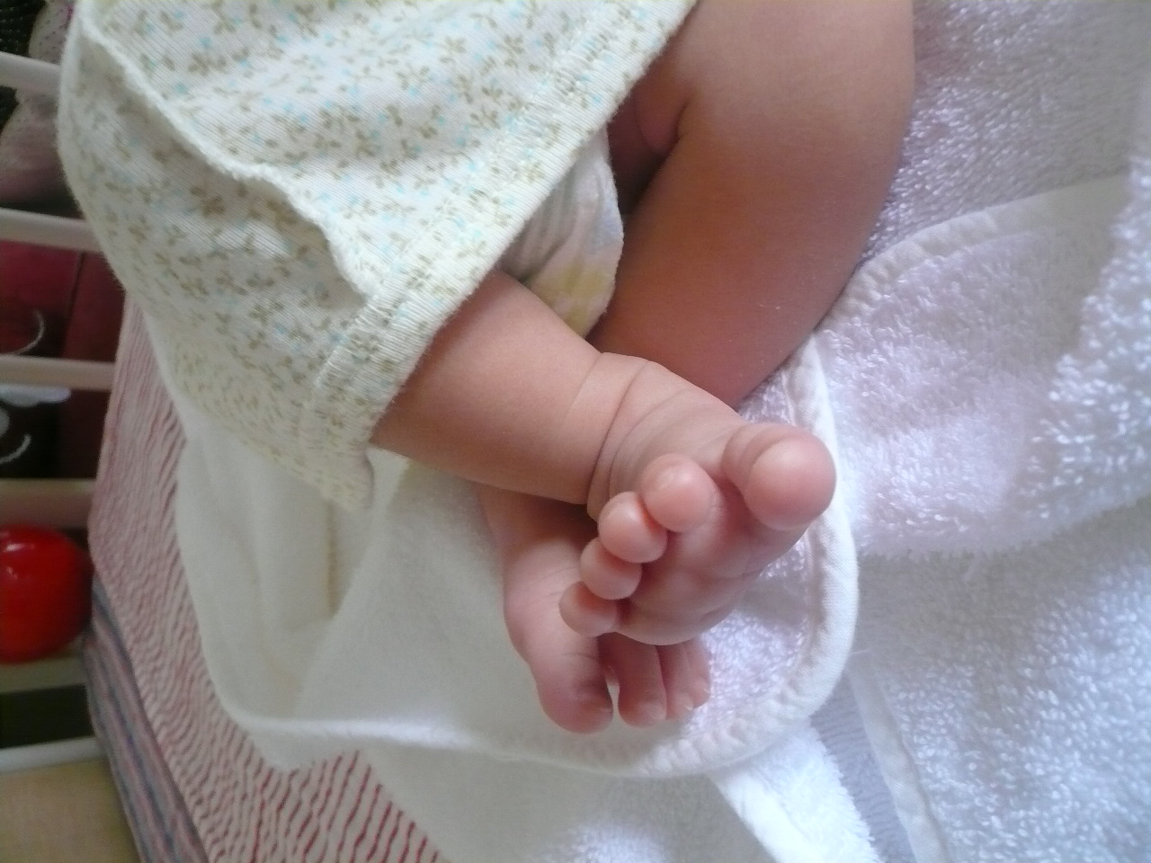 a0103914_20111057.jpg