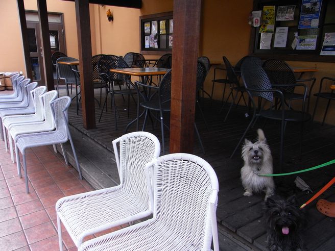 c0039114_2255165.jpg