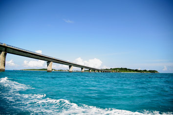 b0082119_85091.jpg
